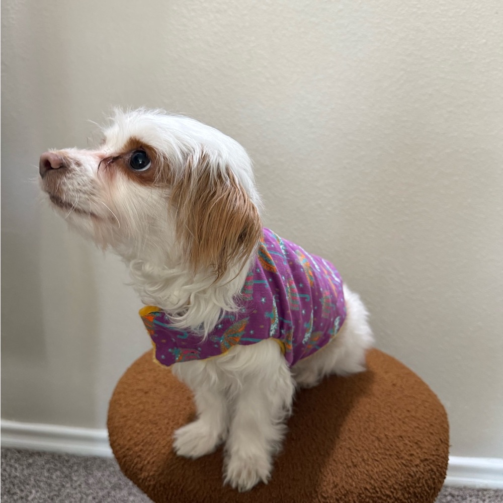 Purple Dog Jacket